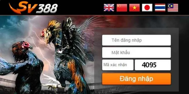 Kinh nghiệm chơi khôn ngoan mở ra cơ hội để bạn thắng lớn. 