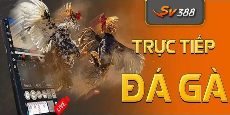 Giới Thiệu SV388 3 Lời nhận xét tích cực đến từ phía người trải nghiệm SV388.