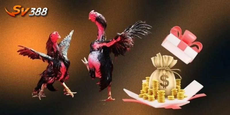 Khuyến Mãi SV388 3 Lưu ý nhỏ giúp tay cược nhận quà tặng SV388 thả ga.